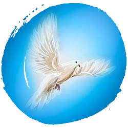 Taube-Heiliger Geist