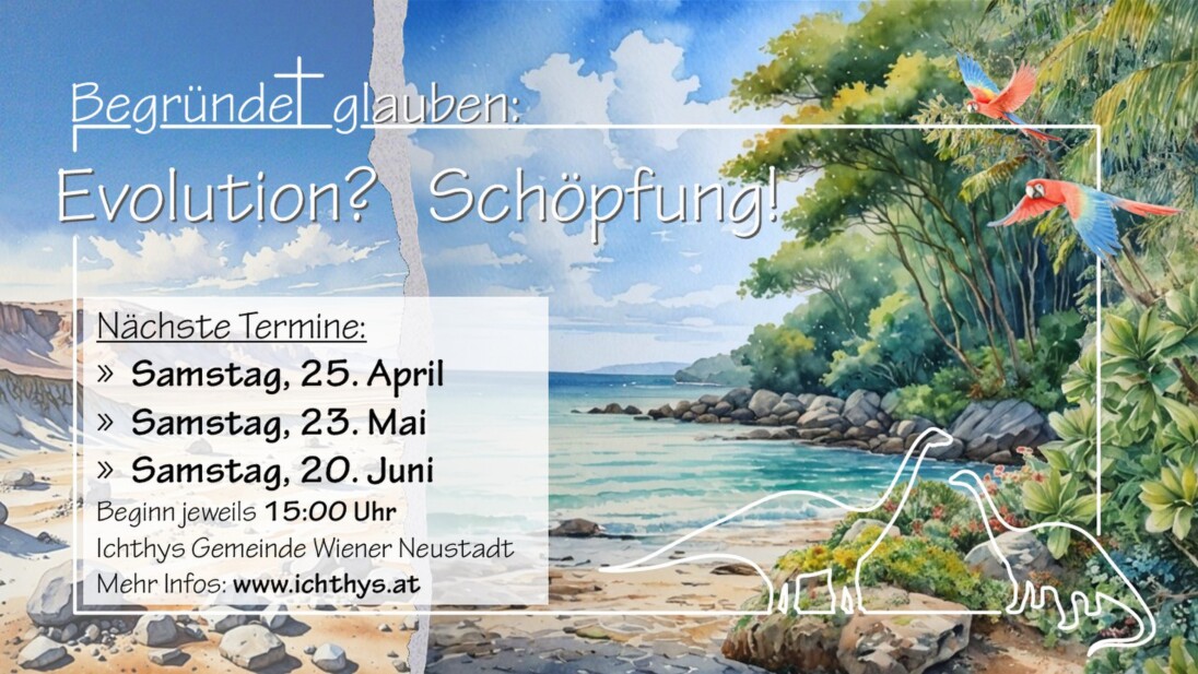 Seminar Schöpfung oder Evolution